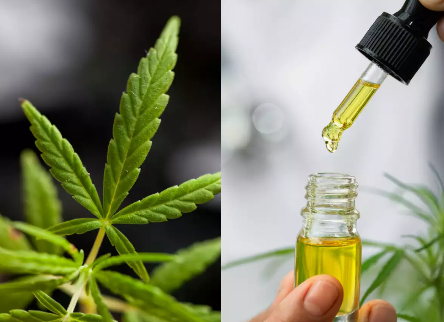 CBD Pure Extract Oil Review